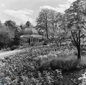 Harrogate, Valley Gardens, Scroll Bed, 1963